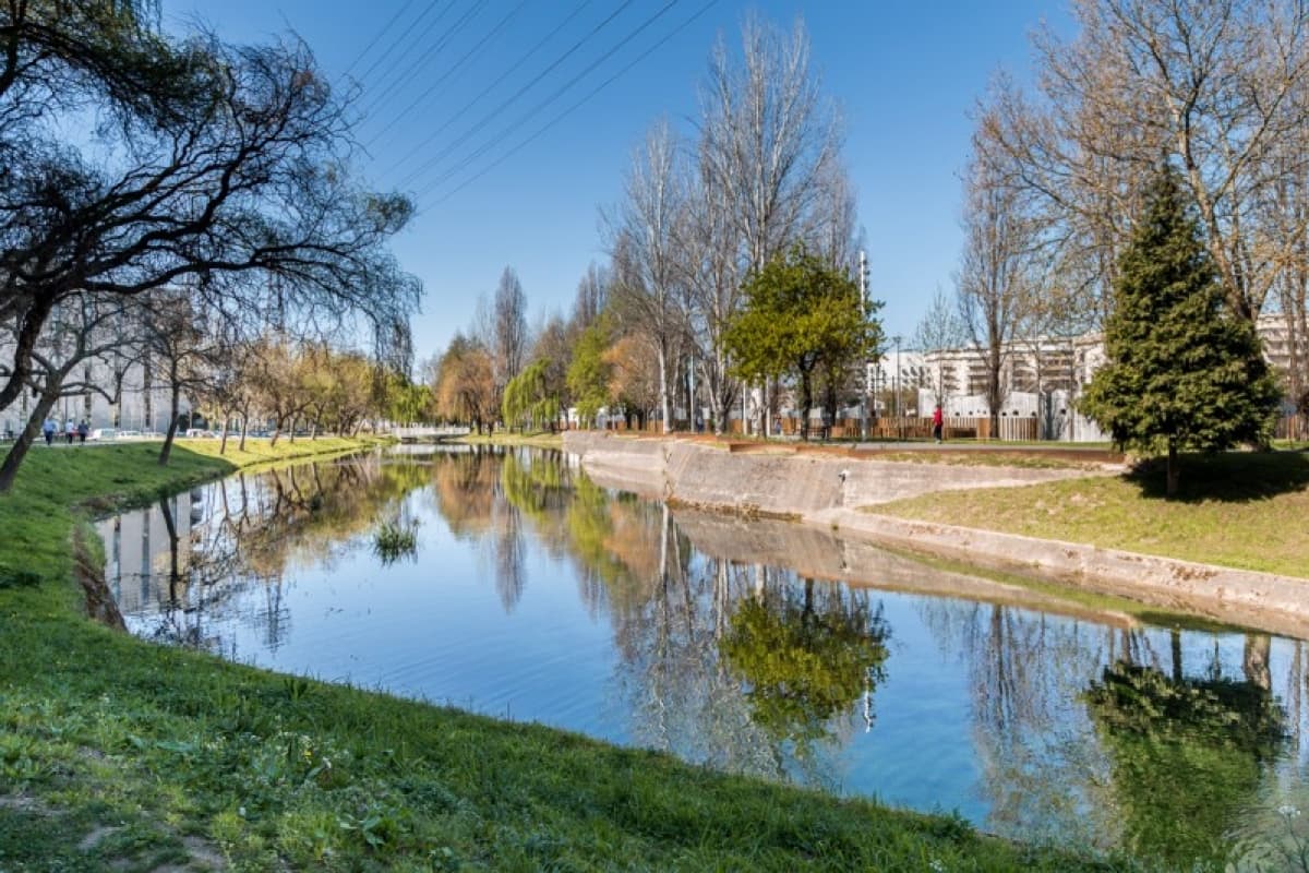 Picture of the author